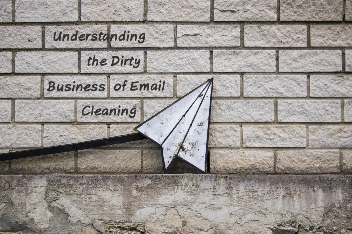 Understanding the Dirty Business of Email Cleaning