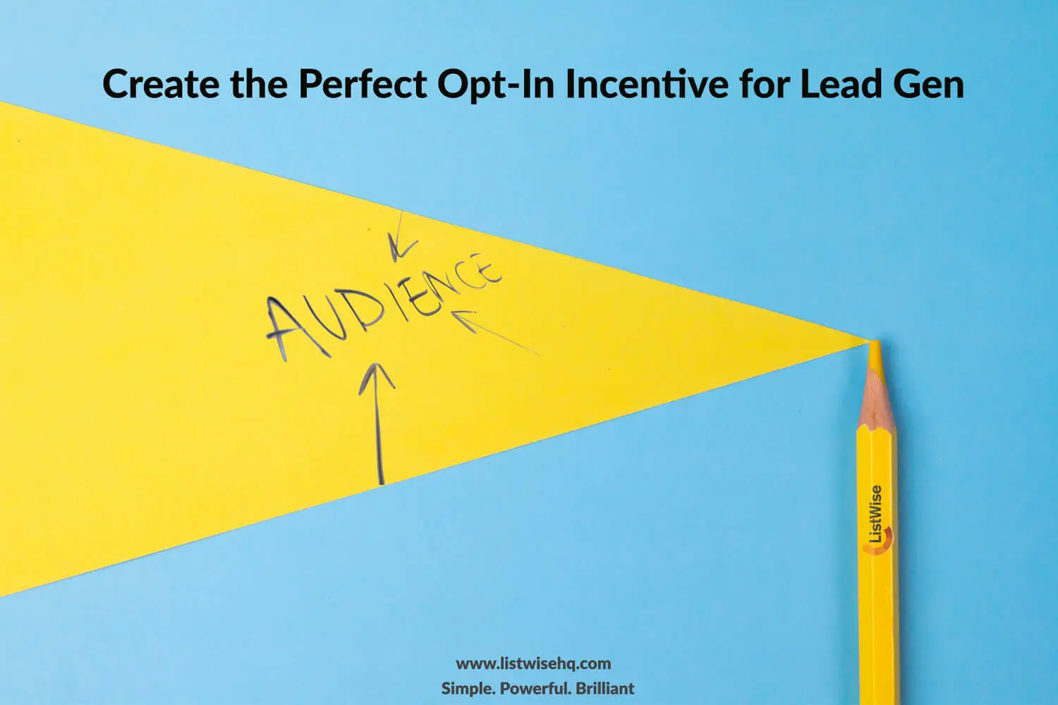 Create the Perfect Opt In Incentive for Lead Gen 1