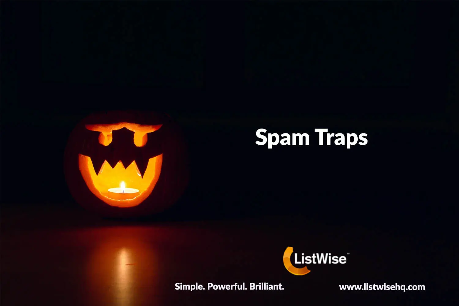 Spam Traps ListWise