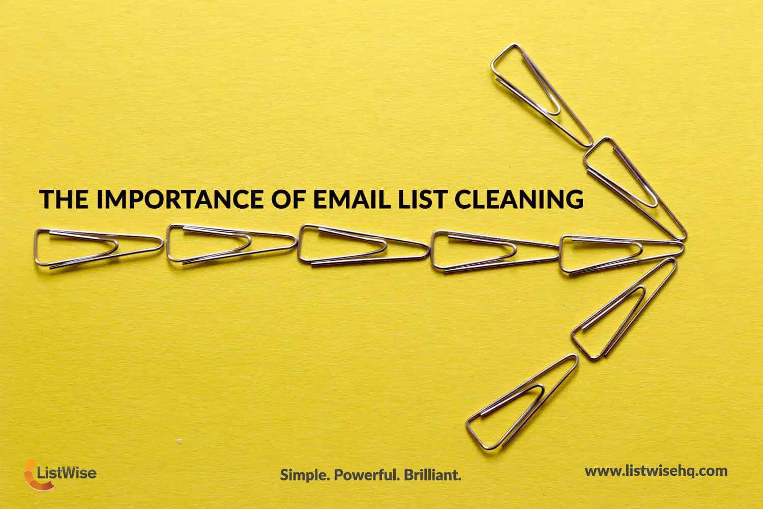 The Importance of Email List Cleaning